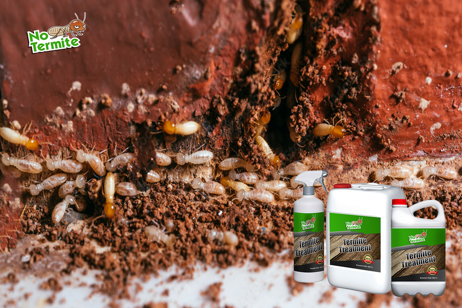 Anti-termite control revealed